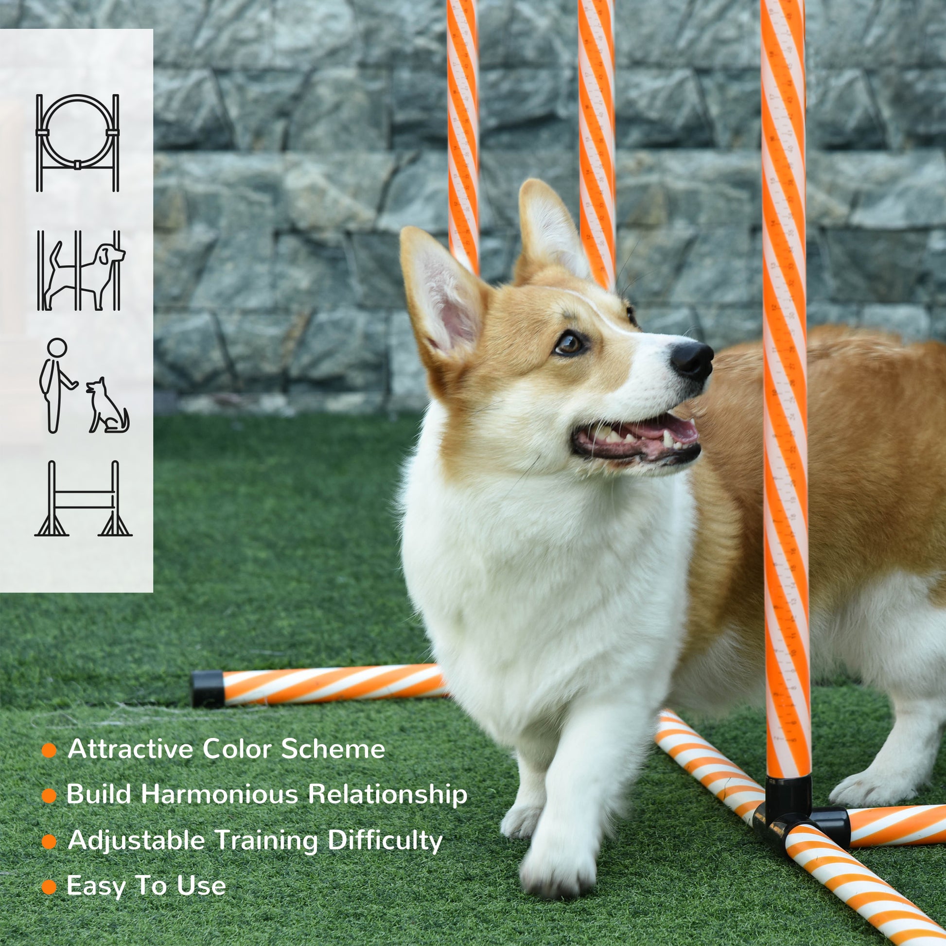 PawHut Pet Agility Training Equipment Dog Play Run Jump Hurdle Bar Obedience Training Set with Adjustable Height Jump Ring High Jumper Weave Poles Square Pause Box Carry Bag Whistle