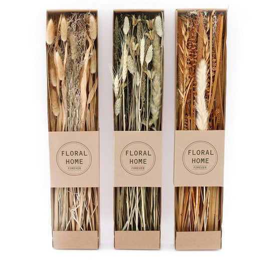 Set of 3 Dried Grasses in Display Box