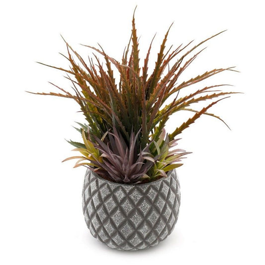 Succulents in Large Lattice Design Grey Pot