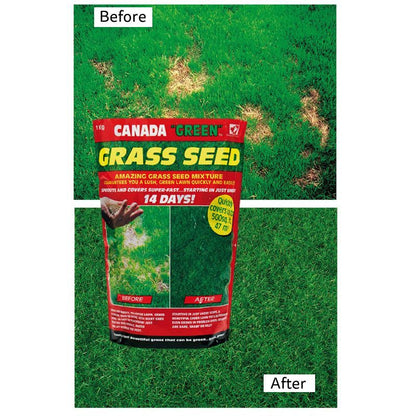 Canada Green Grass Seed 500g 23 Square Metres Coverage