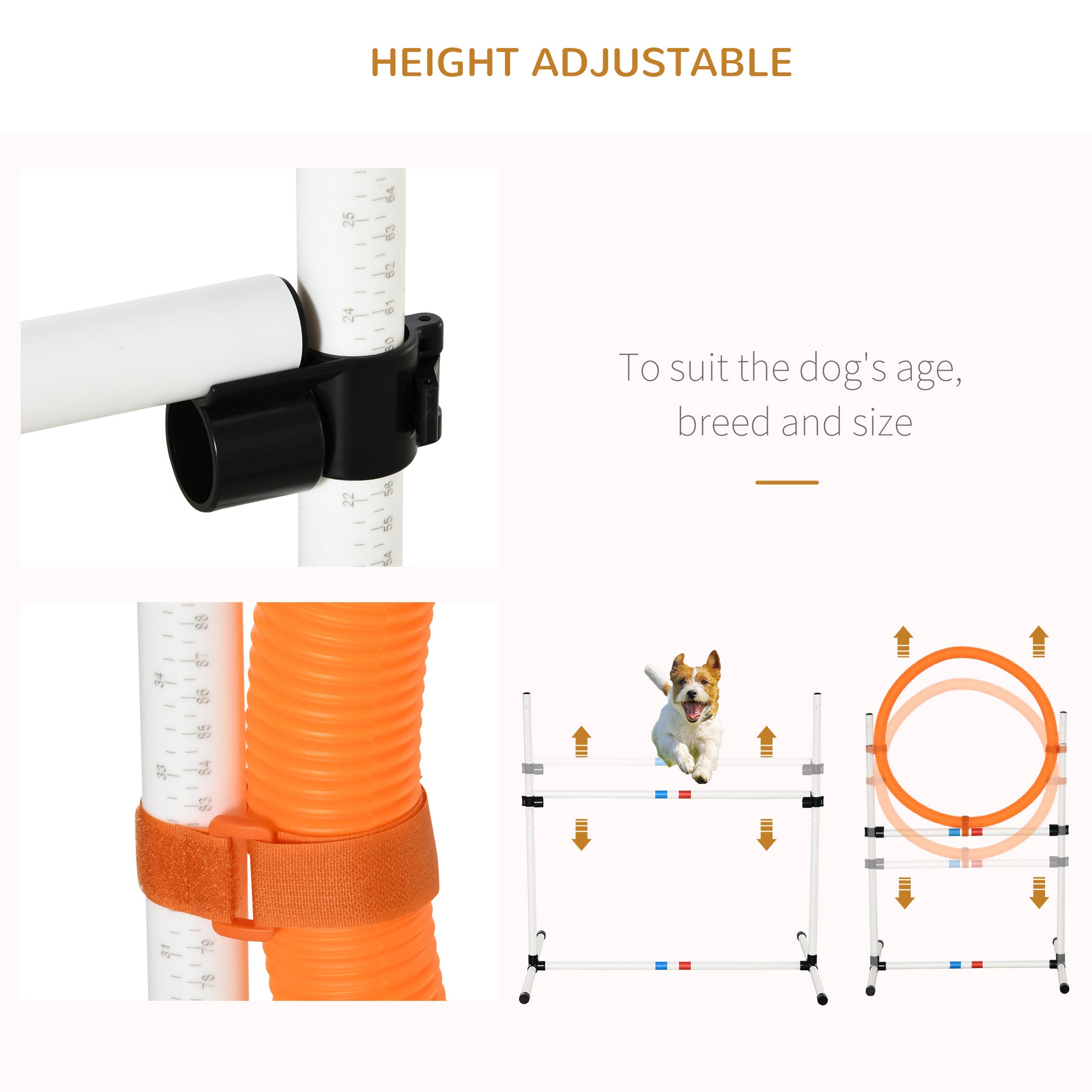 Agility Dog Obstacle Course With Carry Bag by Pawhut