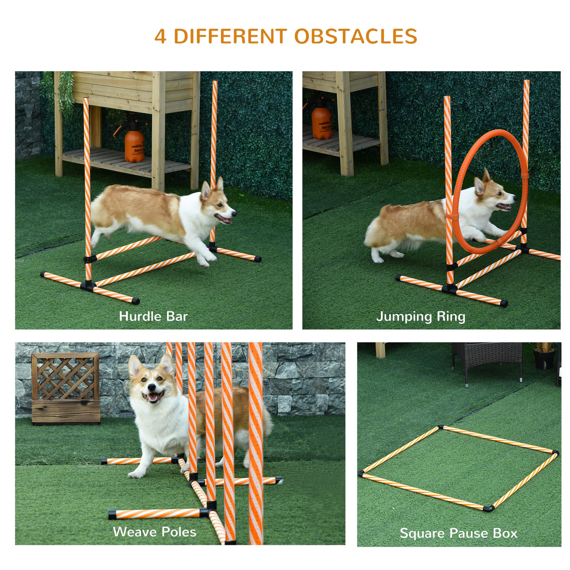 PawHut Pet Agility Training Equipment Dog Play Run Jump Hurdle Bar Obedience Training Set with Adjustable Height Jump Ring High Jumper Weave Poles Square Pause Box Carry Bag Whistle