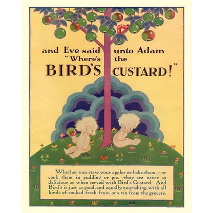 Vintage Bird's Custard Sign Metal Wall Mounted - 40cm