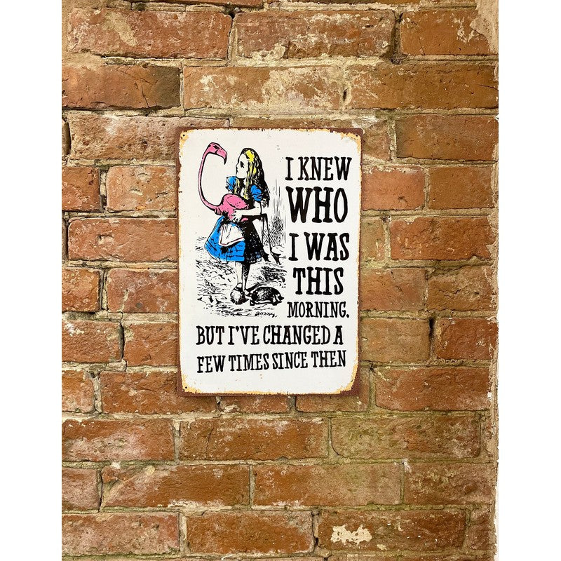 Alice in Wonderland I Knew Who I Was, But I've Changed Sign Metal Wall Mounted - 28cm