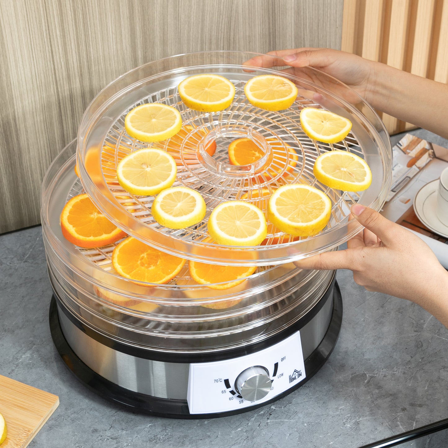 250W 5Kg Fiev Tray Food Dehydrator Silver by Homcom