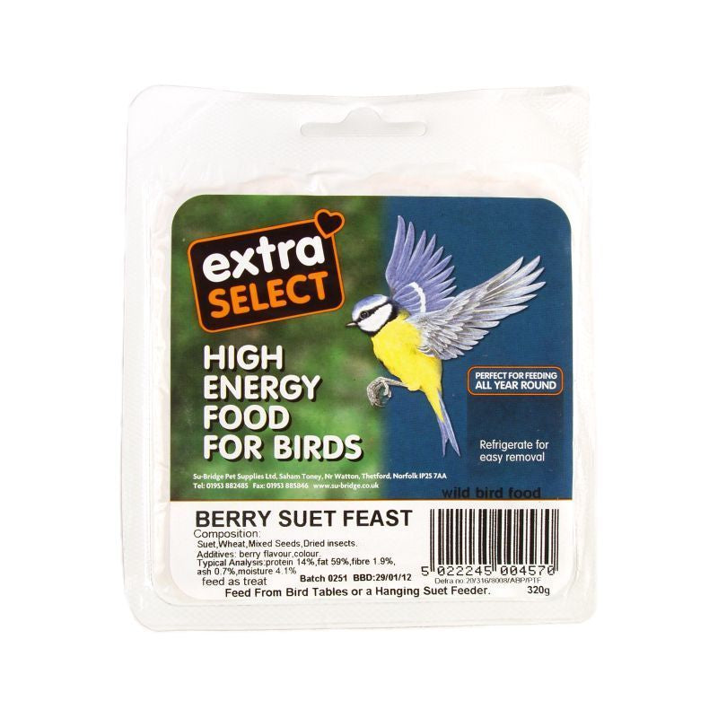 Extra Select Suet Block - Berry