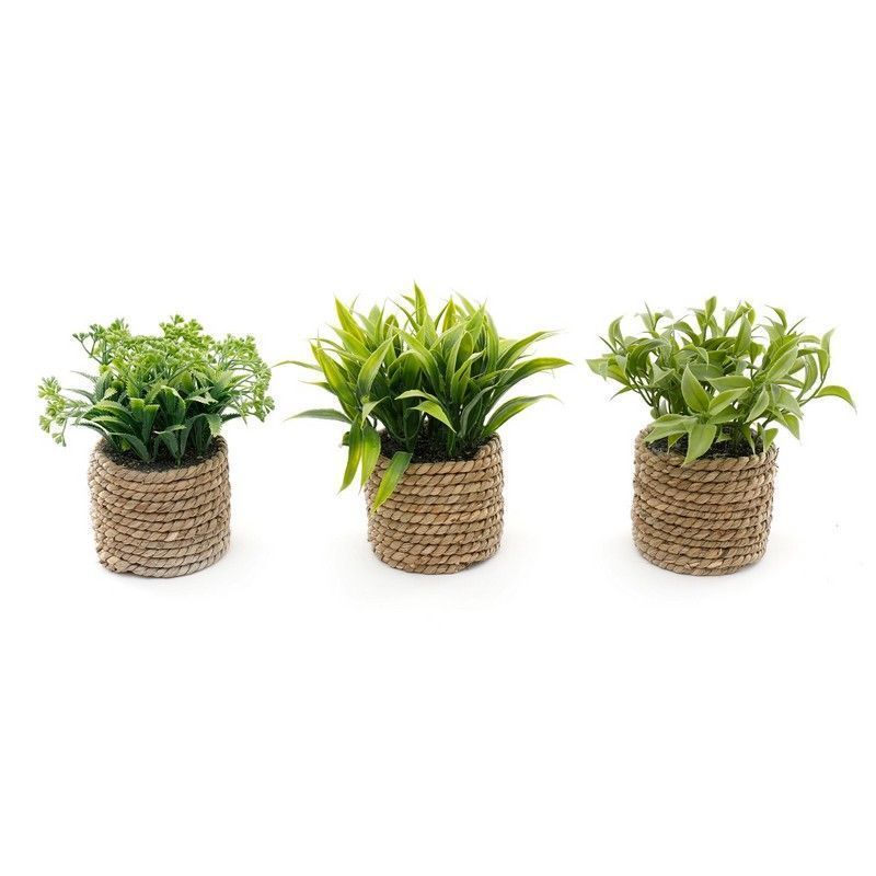 3x Rope Faux Succulent Seagrass - 8.5cm