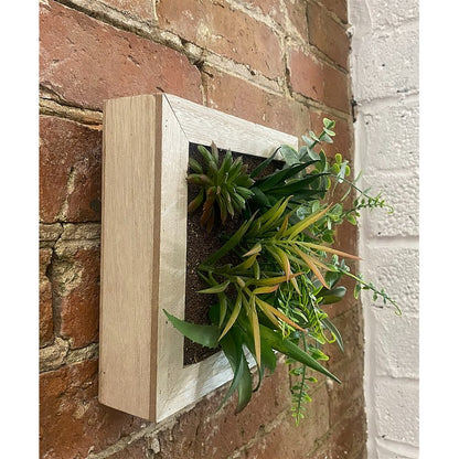 Frame Faux Succulent Wood Wall Mounted - 20cm