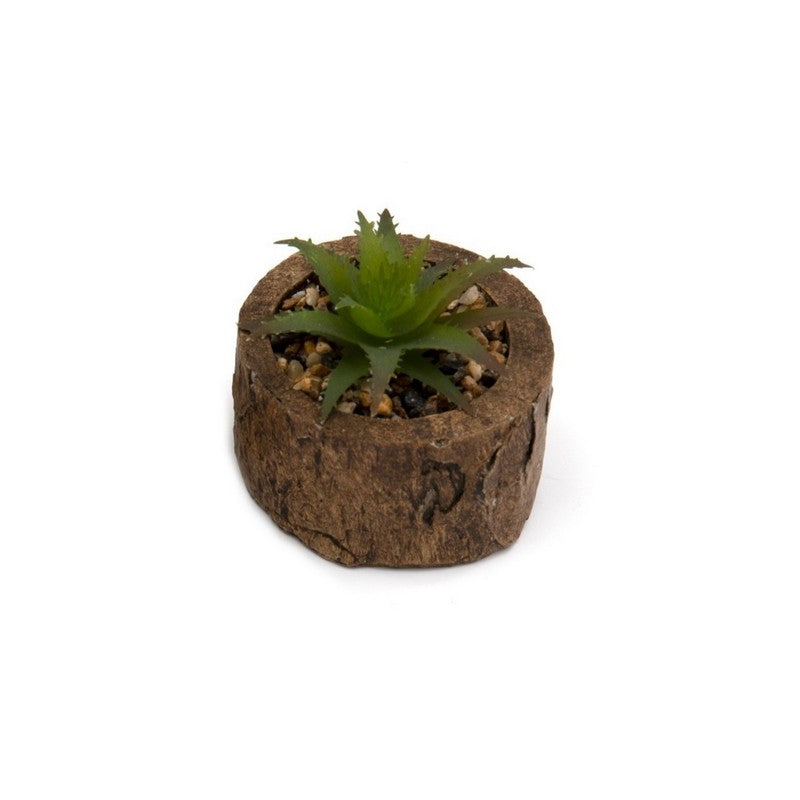 Faux Succulent Wood - 8cm