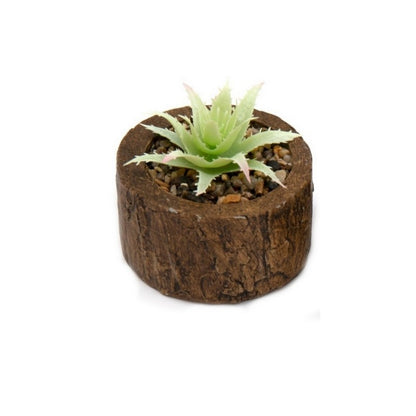 Faux Succulent Wood - 8cm