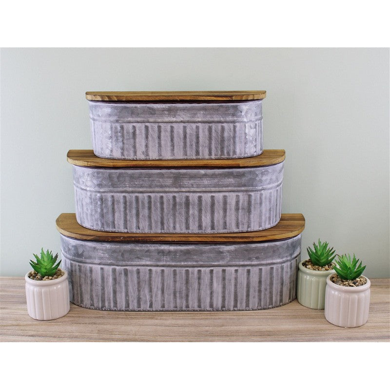 Set of 3 Potting Shed Storage Shelves