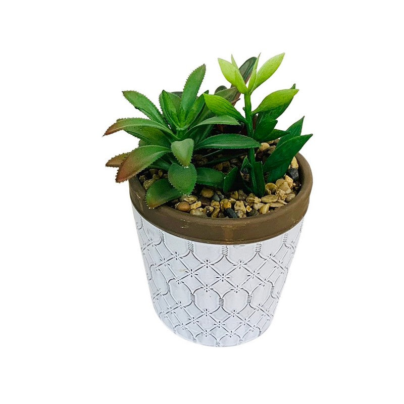 Artificial Plant Terracotta White - 20cm