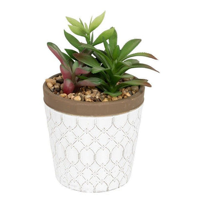 Artificial Plant Terracotta White - 20cm