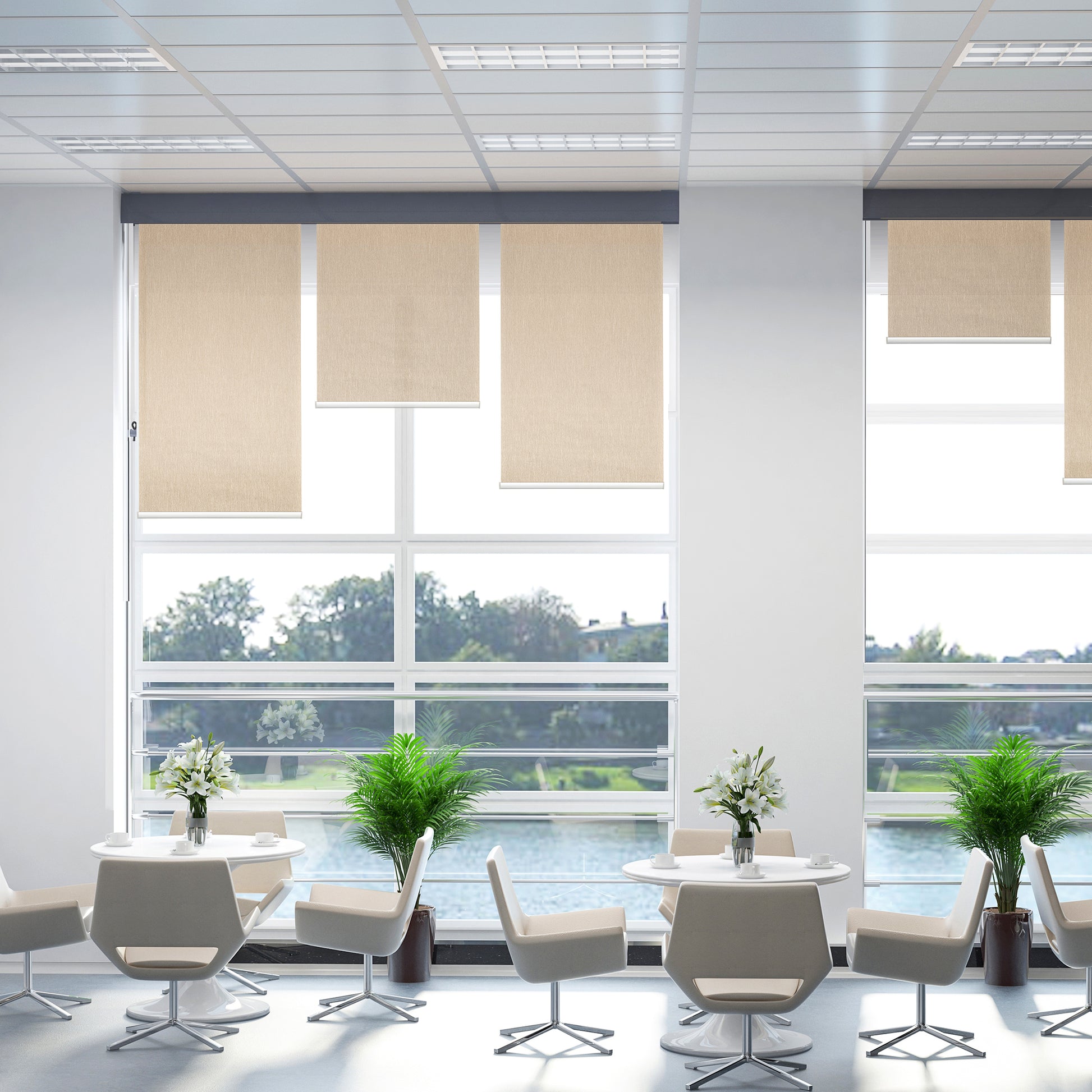 Homcom WiFi Smart Roller Blinds Work with TUYA App