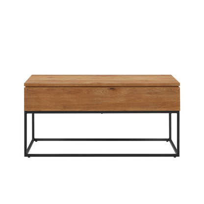 Lift Top Coffee Table Brown 1 Door