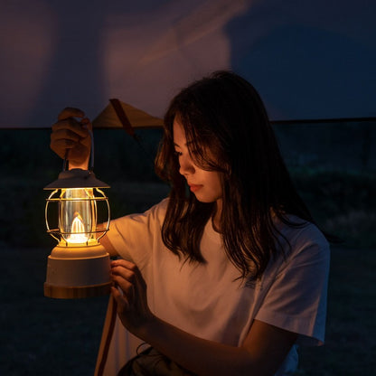 Portable Moon Rock Garden Lantern by WildLand