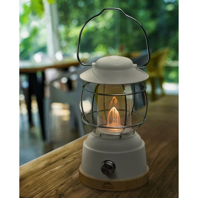 Portable Moon Rock Garden Lantern by WildLand