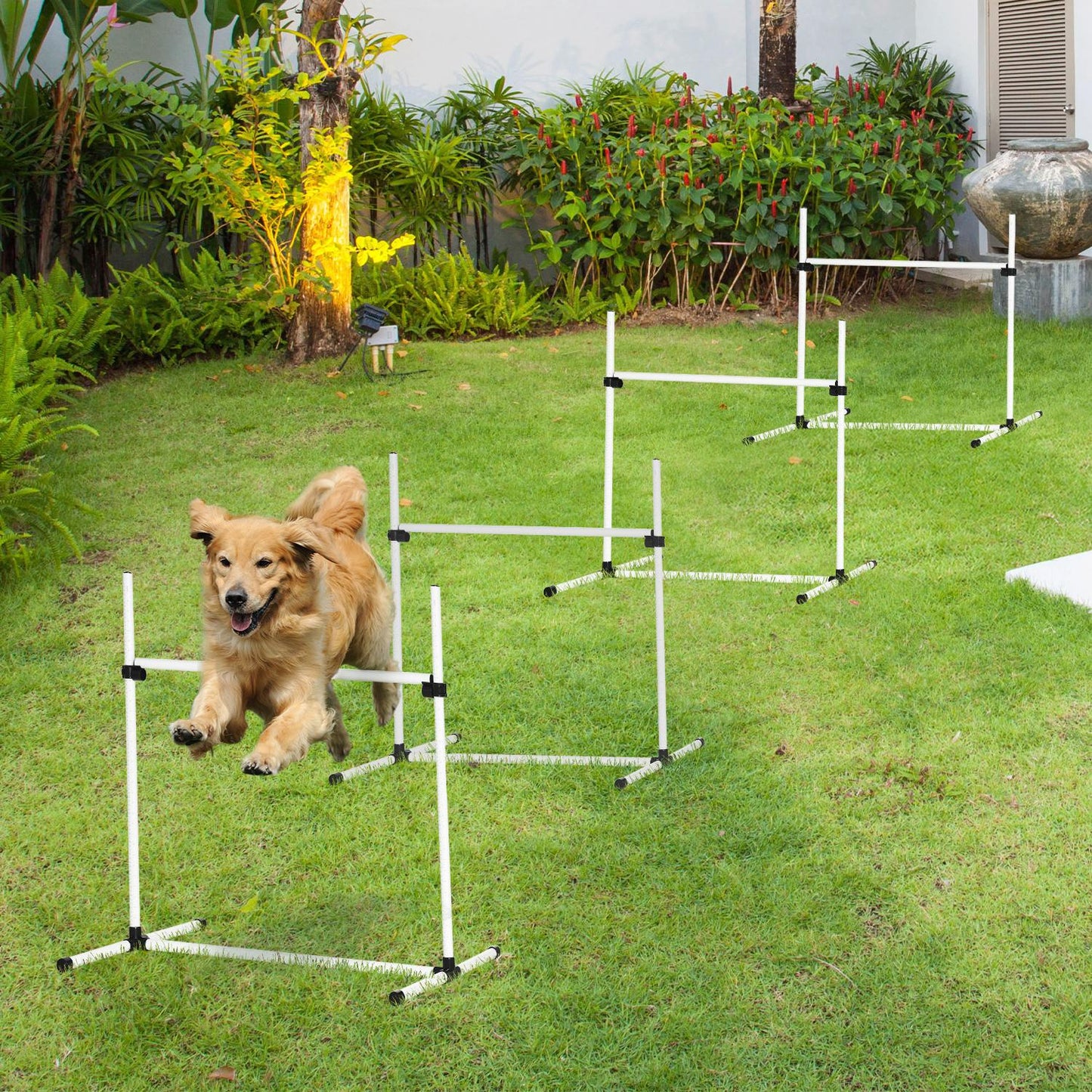 PawHut Canine Agility Set-White