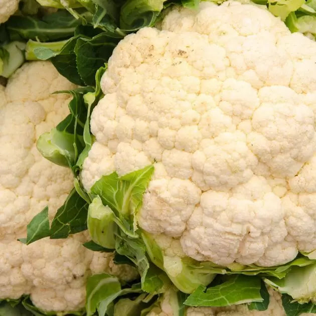 Garden Treasures 'Cauliflower' Brassica Oleacea var.botrytis - Approx 256 Vegetable Seeds