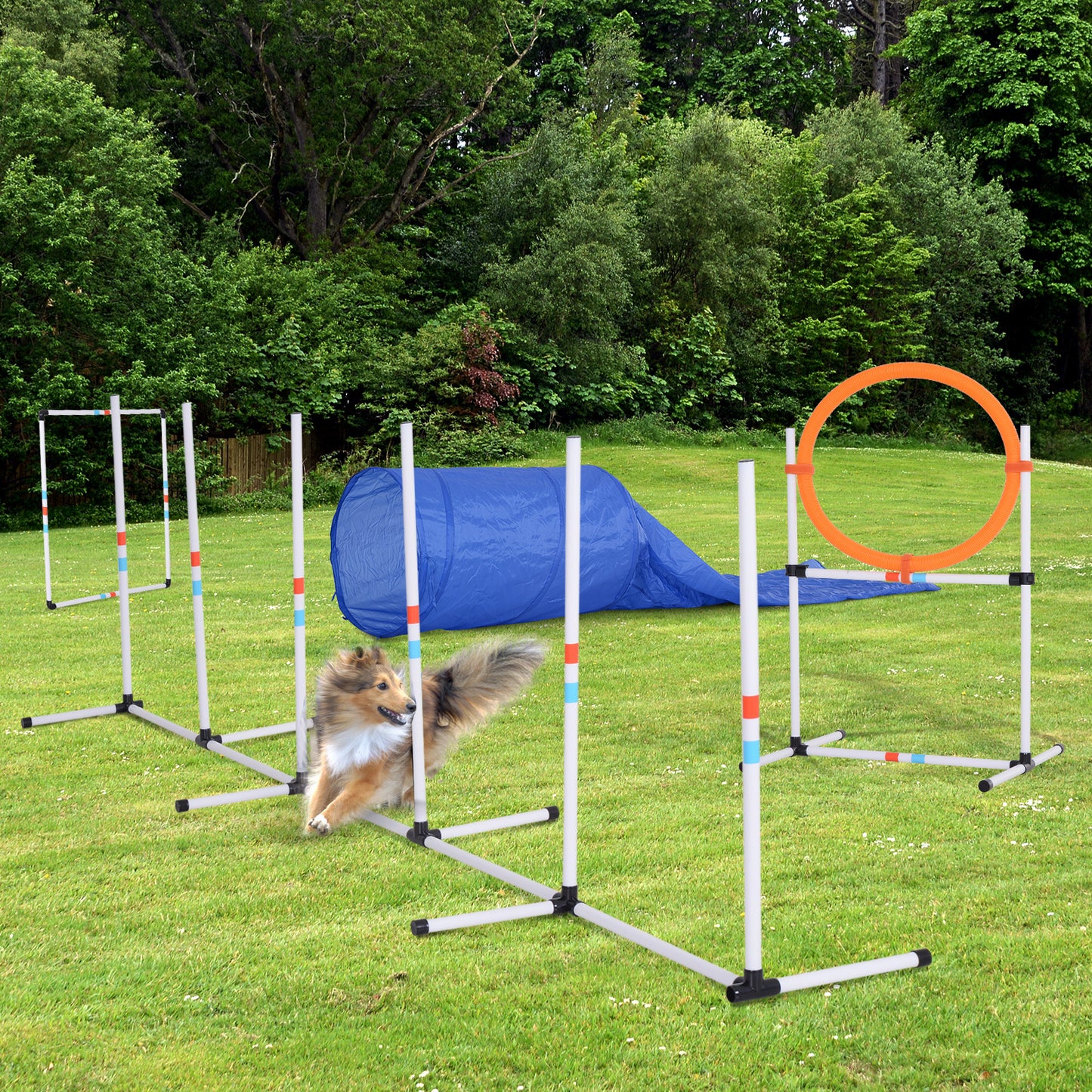 Large Agility Dog Obstacle Course With Carry Bag by Pawhut