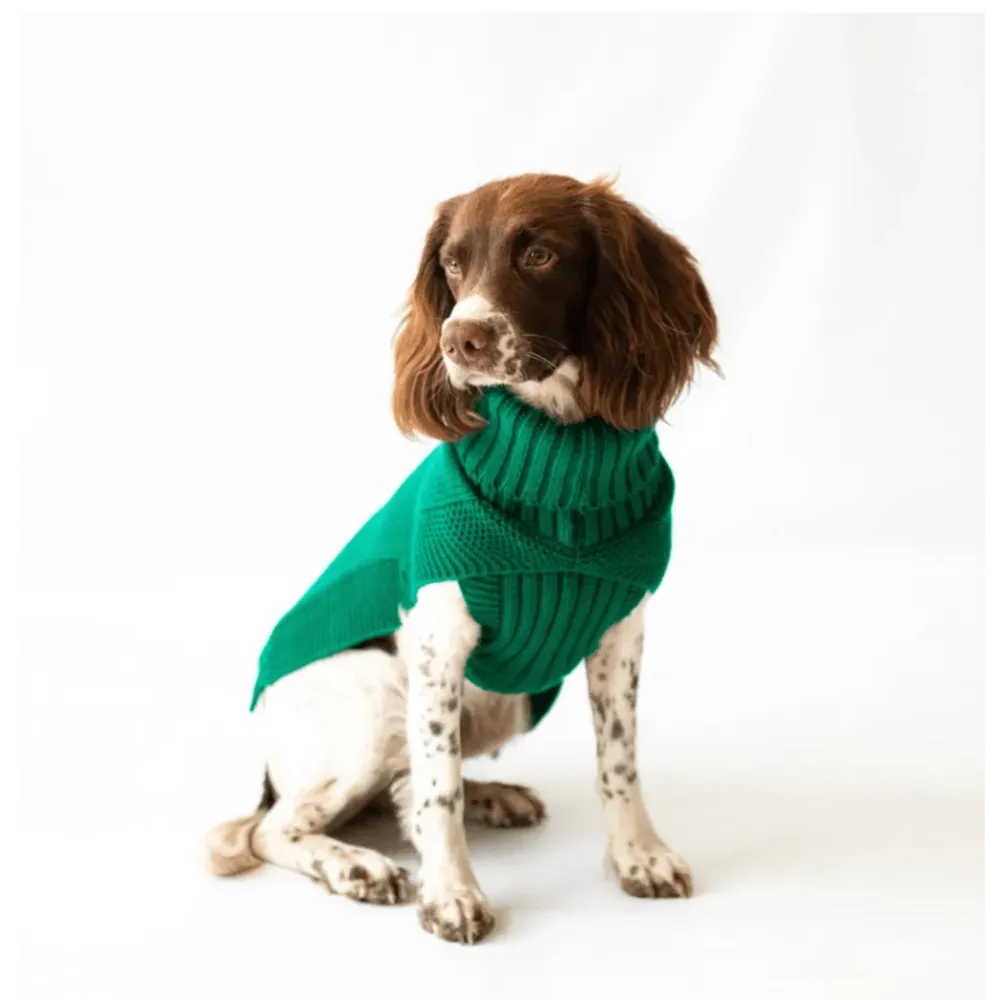 The Jazz Dog Jumper in Green