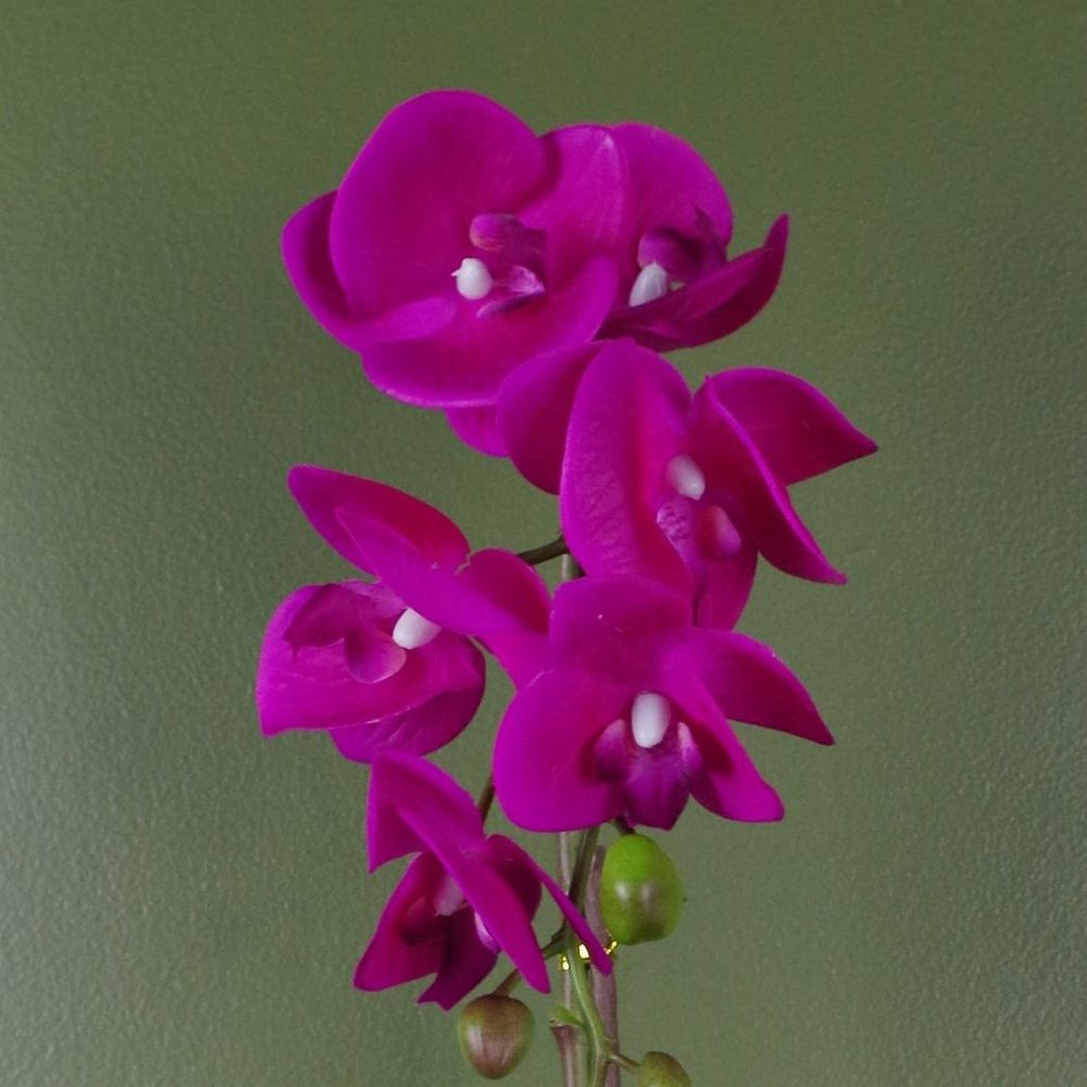 46cm Artificial Orchid Dark Pink and Gold