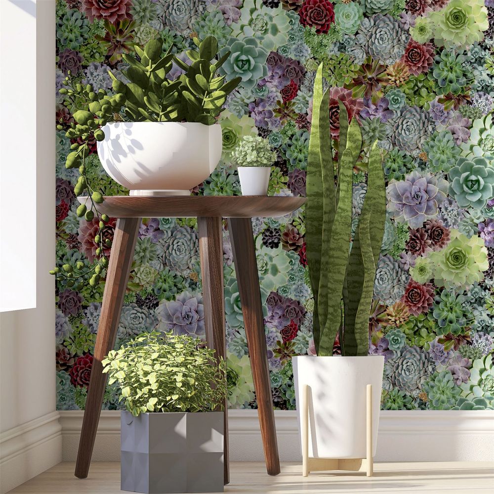 Succulent Living Wall Multi sw12