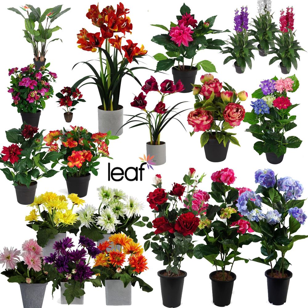 LARGE Flowering Artificial Plants Multicoloured Vibrant Realistic and Ideal for Office or Home Use