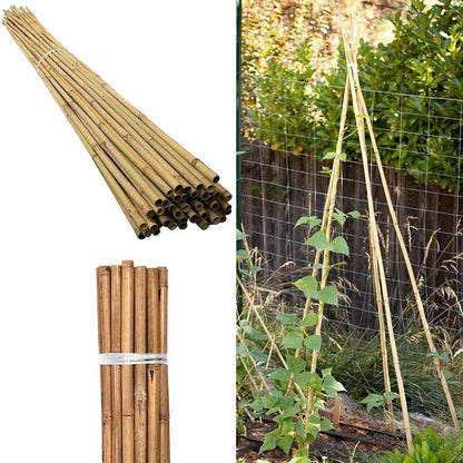 10 x 3FT Bamboo Canes Sticks 90CM