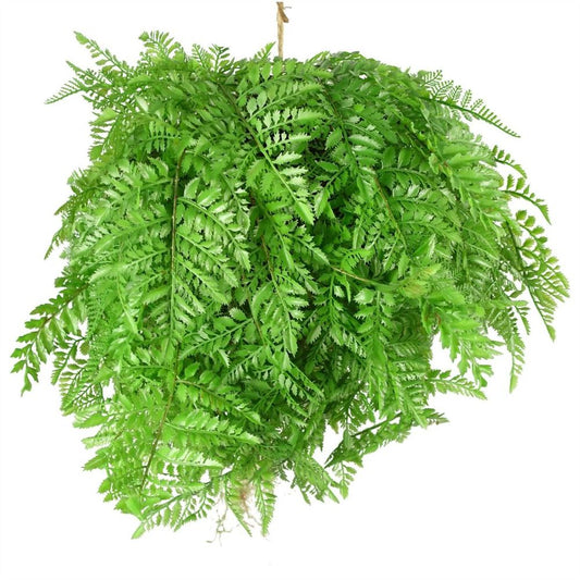 110cm Artificial Hanging Fern Ball - Extra Large