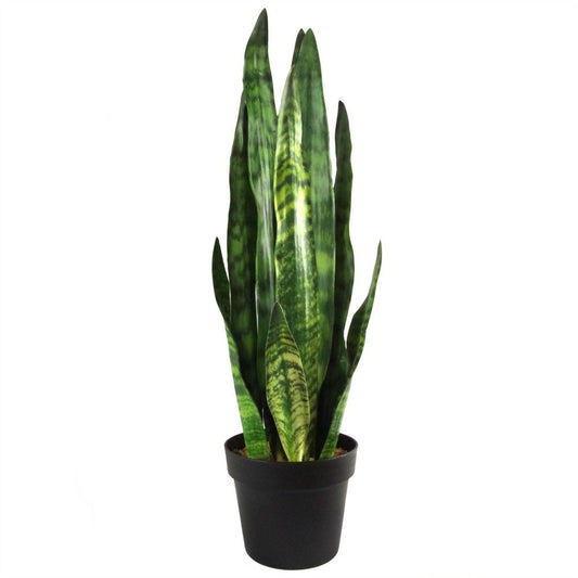 70cm Artificial Sansevieria Zeylanica Plant