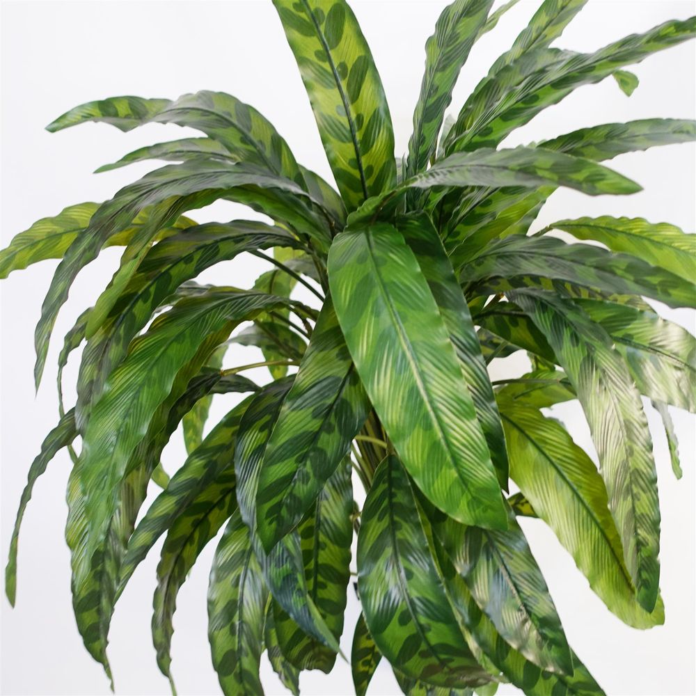 90cm Variegated Artificial Calathea Plant