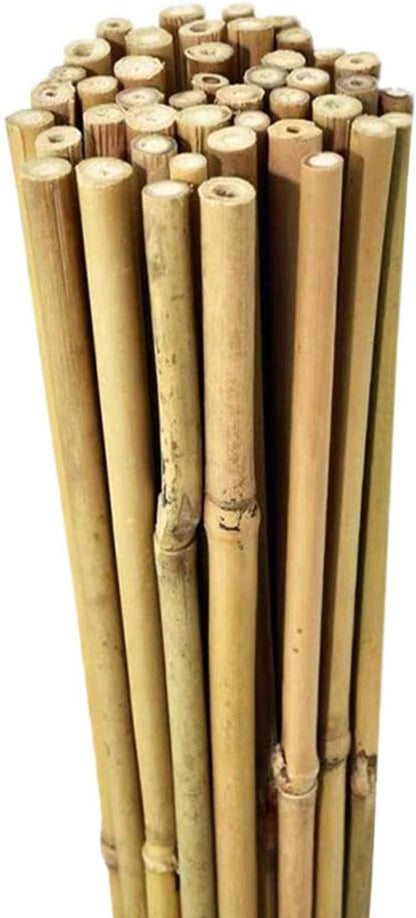 40 x 6FT (180cm) Bamboo Canes