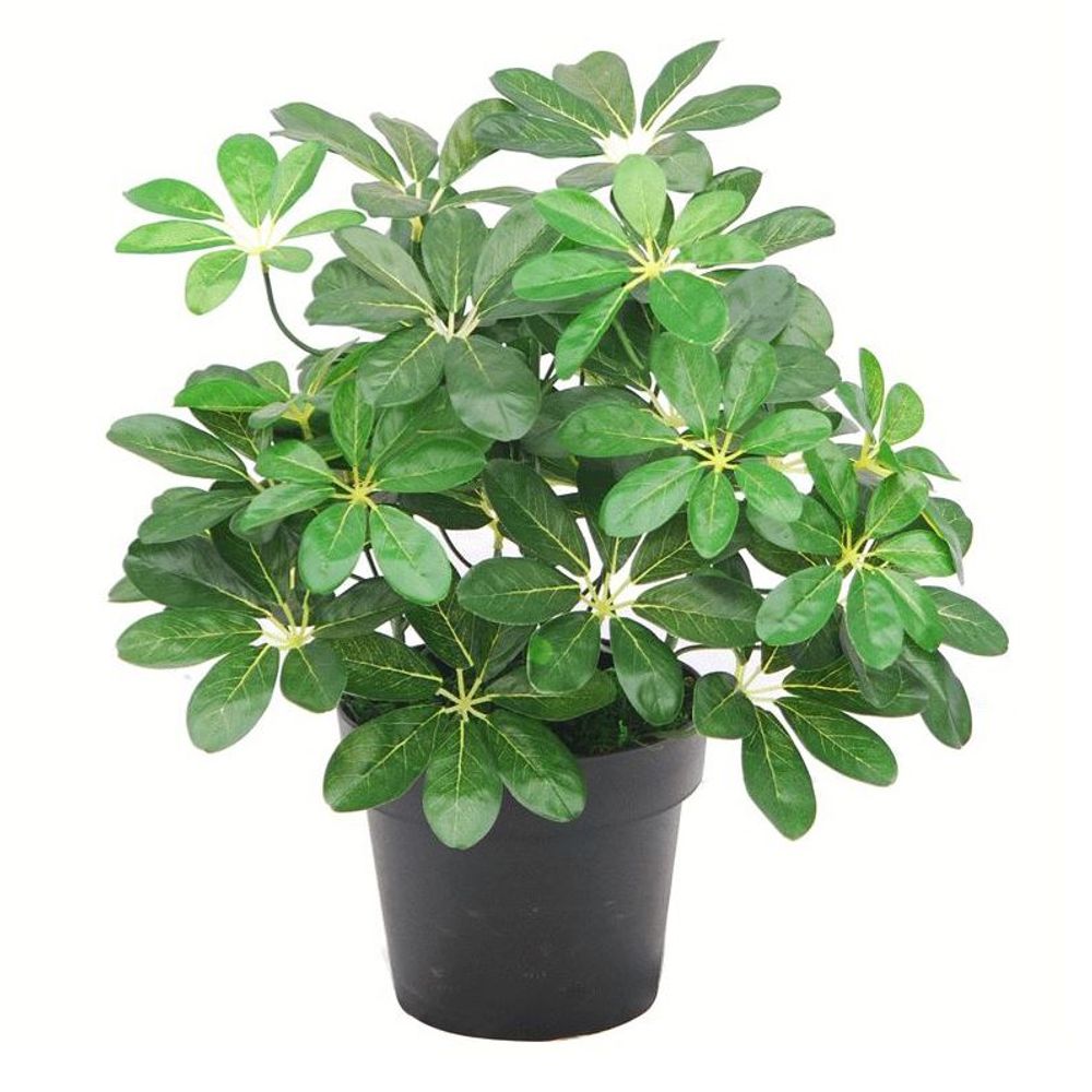 55cm Dark Green Artificial Umbrella Plant