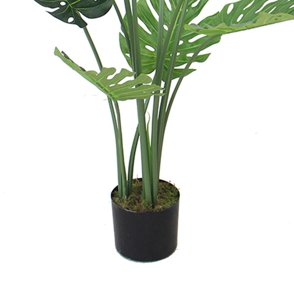 120cm (4ft) Luxury Monstera Plant Black Pot