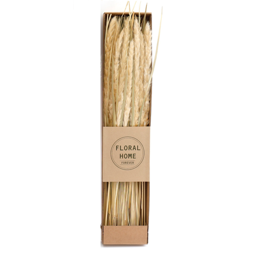 Decorative Dried Pampas Grass 60cm