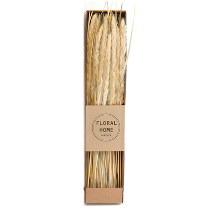 Decorative Dried Pampas Grass 60cm