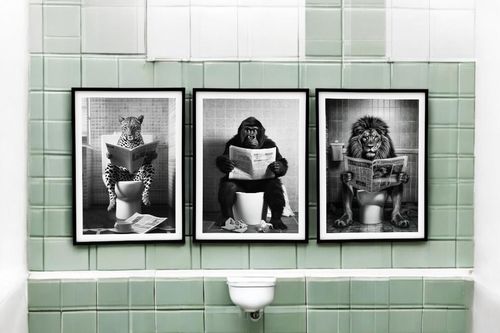 Set of 3 Animal's on the Toilet Framed Canvas 45x60cm