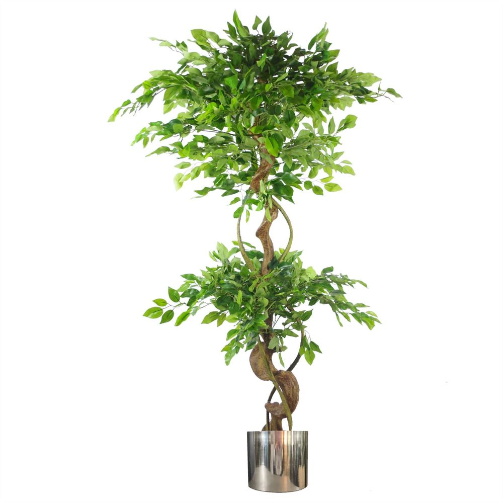 150cm Twisted Trunk Artificial Japanese Fruticosa Ficus Tree Silver Planter