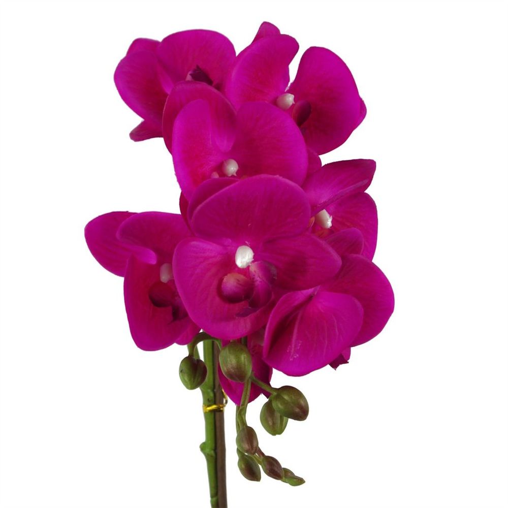 50cm Phalaenopsis Orchid Artificial - Dark Pink Silver