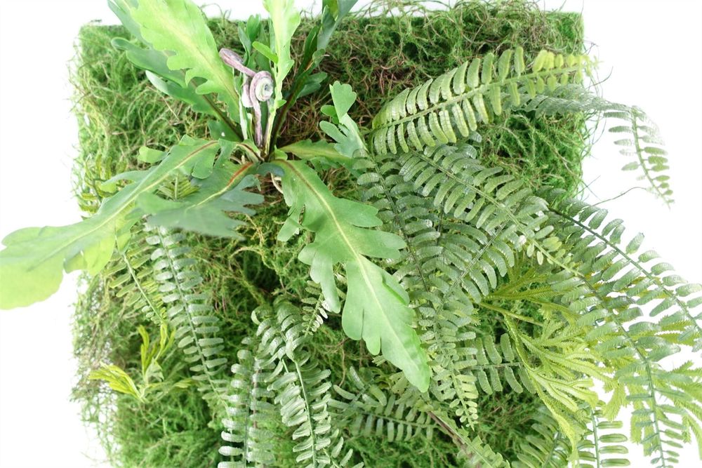 60cm Artificial Green Wall Fern