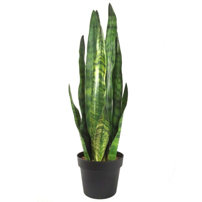 70cm Artificial Sansevieria Zeylanica Plant