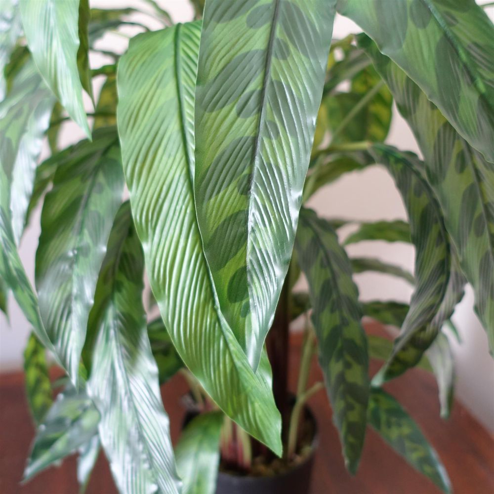 90cm Variegated Artificial Calathea Plant