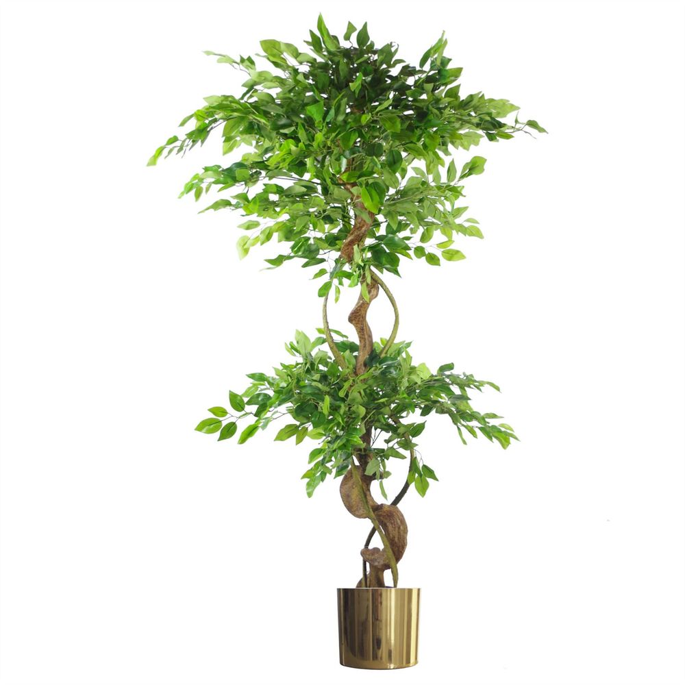 150cm Twisted Trunk Artificial Japanese Fruticosa Ficus Tree Gold Planter