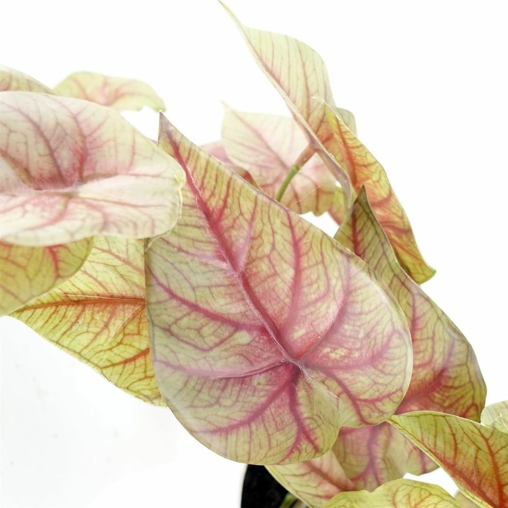 30cm Artificial Pink Caladium Potted Trailing Plant Realistic