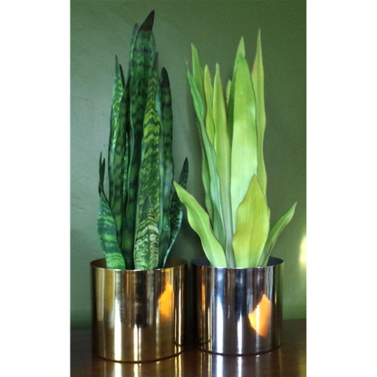 70cm Artificial Sansevieria Zeylanica Plant