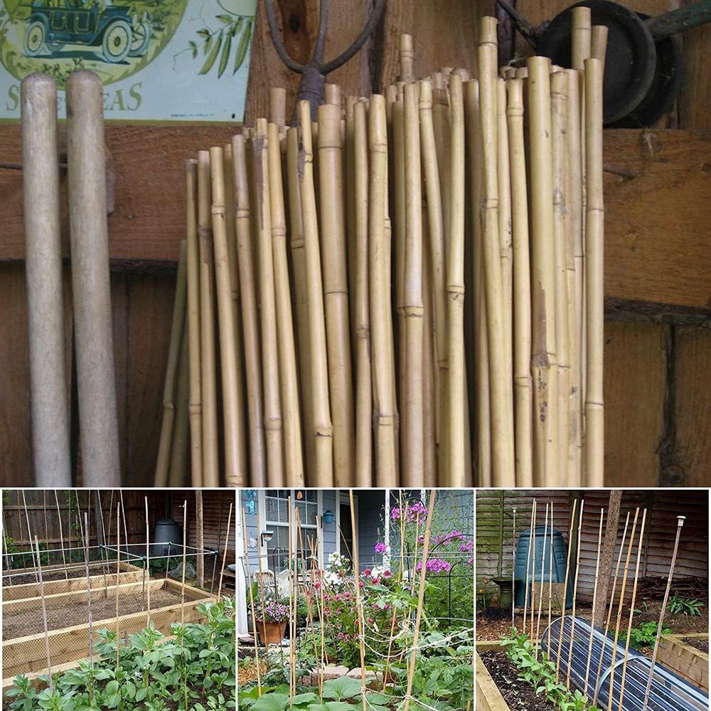 40 x 4FT Bamboo Canes Sticks 120cm