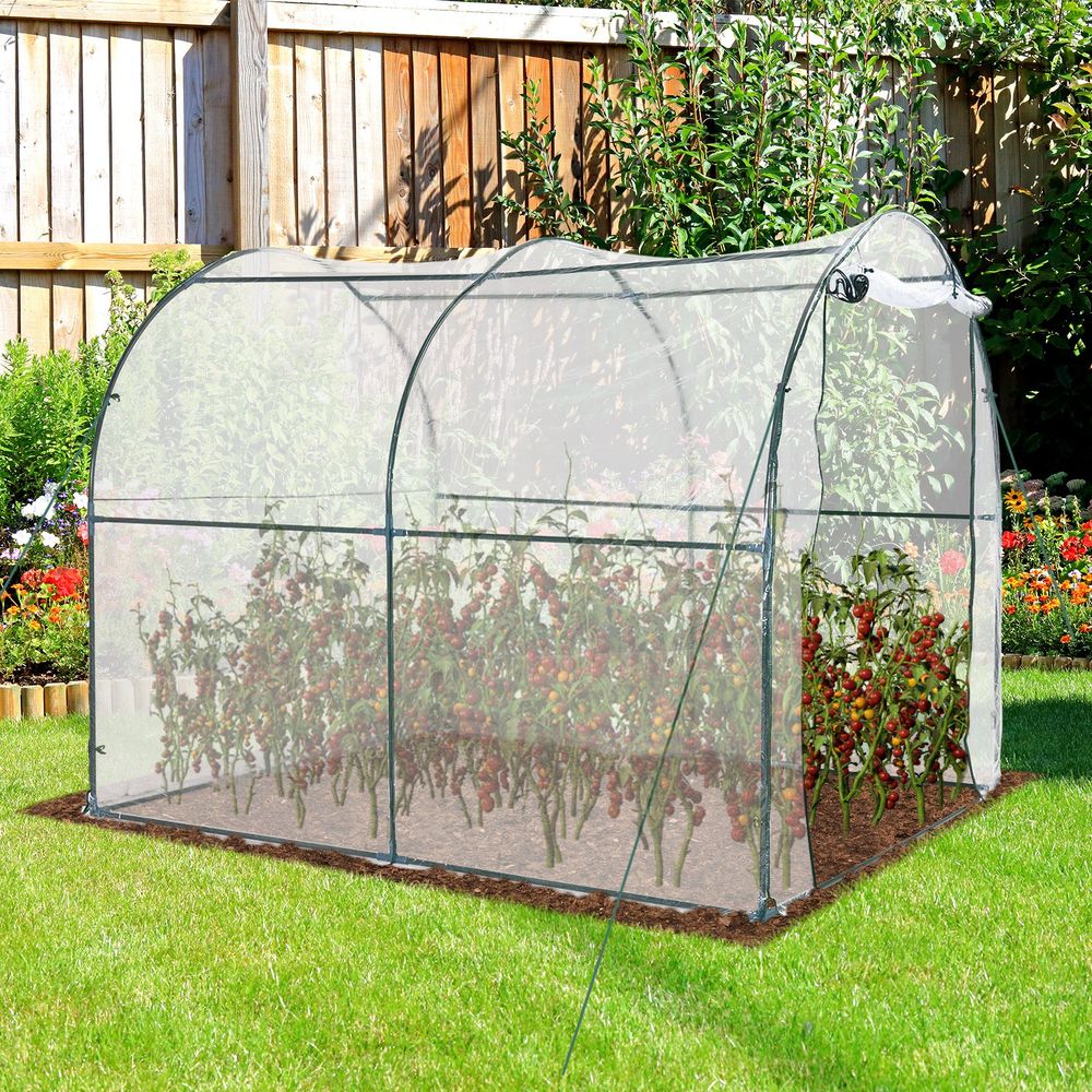 Walk in Transparent Greenhouse, Steel Frame