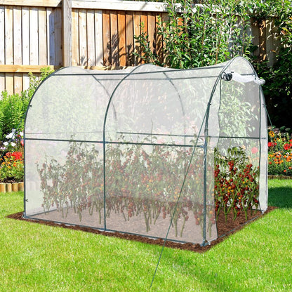 Walk in Transparent Greenhouse, Steel Frame