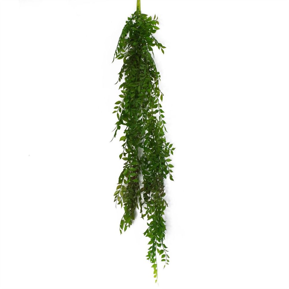 100cm Hanging String of Pearls Fern Plant Dark Green